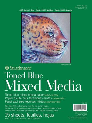 400 Series Toned Blue Mixed Media