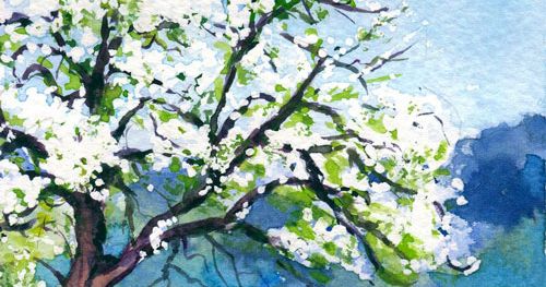 Realistic Watercolor Workshop Starts March 5! - Strathmore Artist Papers