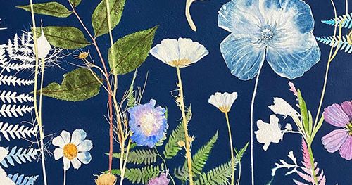 Cyanotype, Watercolor and Gouache - Strathmore Artist Papers