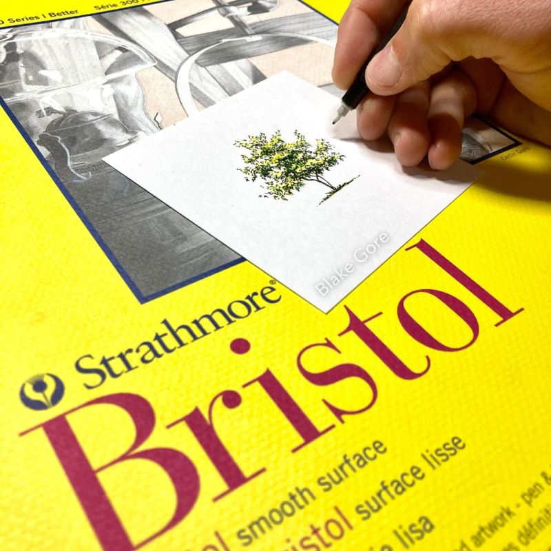 Strathmore® 300 Series Bristol Vellum Surface Pad, 22 x 30