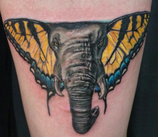 Butterphant Tattoo