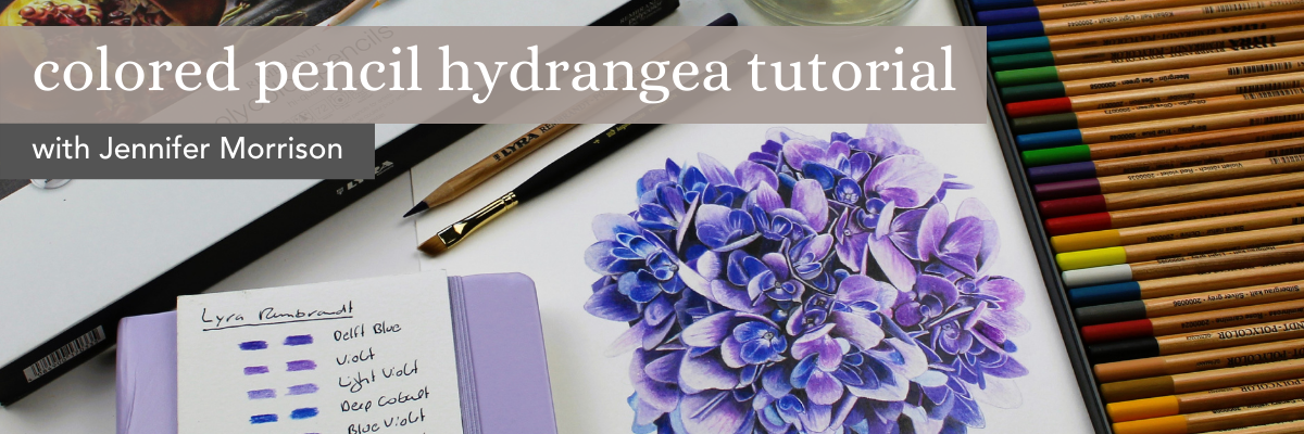 Art Class: Simple Pencil Drawings – Hydrangeas Blue