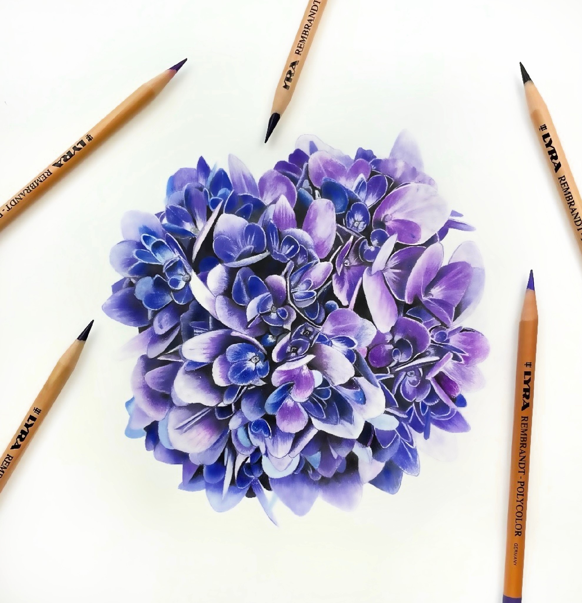 Colored pencil – flower – Soila Art