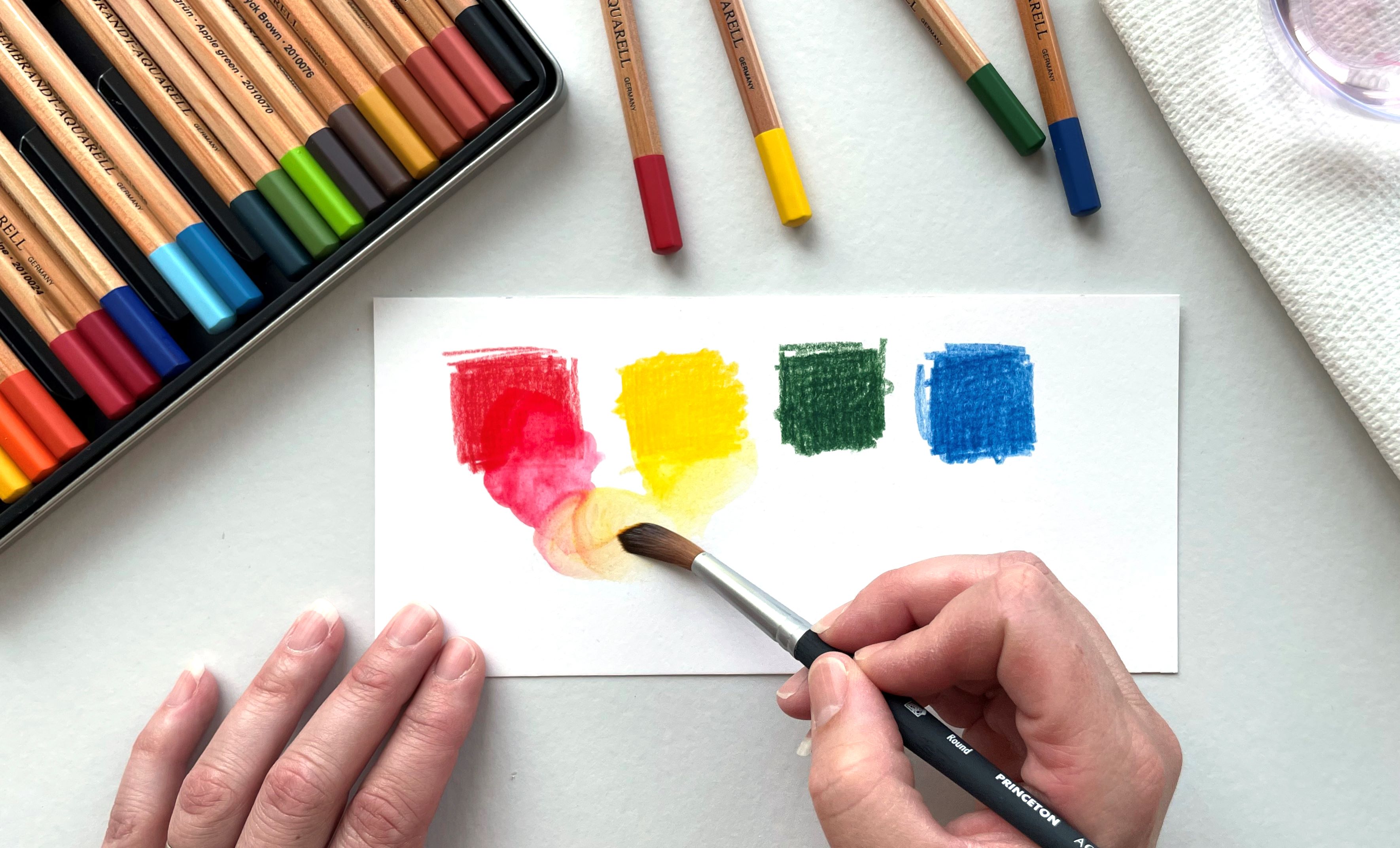 Watercolor and Colored Pencil Techniques 